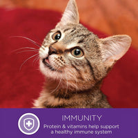 Healthy Indulgence Morsels Adult Wet Cat Food, Natural, Protein Rich, Grain Free, Turkey and Duck Recipe, 3 Oz, Pack of 24 Pouches