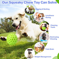 Indestructible Squeaky Dog Ball
