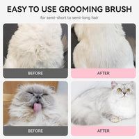 Cat Brushes for Indoor Cats, Cat Hair Brush for Shedding