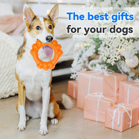 Indestructible Dog Chew Ring Toys for Aggressive Chewers (orange)