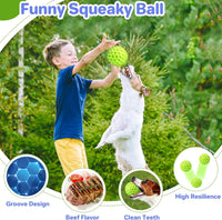 Indestructible Squeaky Dog Ball