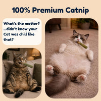 Kitty Kush Catnip Pre-Roll Toys (3-Pack) 100% Catnip Filled