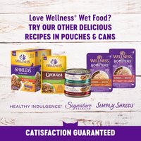Healthy Indulgence Morsels Adult Wet Cat Food, Natural, Protein Rich, Grain Free, Chicken and Turkey Recipe, 3 Oz, Pack of 24 Pouches