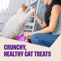 Kittles Crunchy Cat Treats, All Lifestages, Kitten to Senior, Natural, Grain Free, Chicken and Cranberry Flavor, 2 Oz Bag