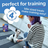 Skinny Mini Dog Treats, Training Treats, Pumpkin & Berry, 12Oz