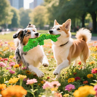 Squeaky Plush Crocodile Dog Toy - Interactive Stuffed Animal for Tug of War