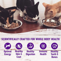 Healthy Indulgence Morsels Adult Wet Cat Food, Natural, Protein Rich, Grain Free, Chicken Recipe, 3 Oz, Pack of 24 Pouches