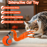 2PCS Interactive Cat Toy Ball, Rechargeable Cat Toys for Indoor Cats