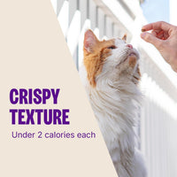 Kittles Crunchy Cat Treats, All Lifestages, Kitten to Senior, Natural, Grain Free, Chicken and Cranberry Flavor, 2 Oz Bag