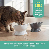Elevated Cat Bowls (Set of 2), Whisker-Friendly Raised Cat Food & Water Dishes