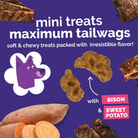 Skinny Mini Dog Treats, Training Treats, Grilled Bison, 5Oz