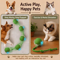 Interactive Cat Toy Automatic Moving Ball, Indoor Cats, Rechargeable, Green