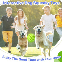 Indestructible Squeaky Dog Ball