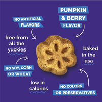 Skinny Mini Dog Treats, Training Treats, Pumpkin & Berry, 12Oz