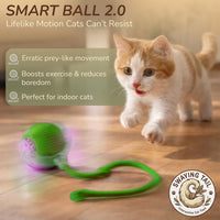Interactive Cat Toy Automatic Moving Ball, Indoor Cats, Rechargeable, Green