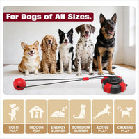 Upgraded Powerful Suction Cup Dog Toy