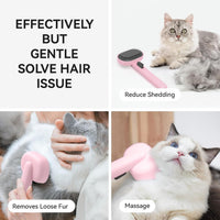 Cat Brushes for Indoor Cats, Cat Hair Brush for Shedding