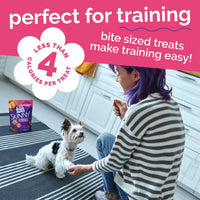 Skinny Mini Dog Treats, Training Treats, Grilled Bison, 5Oz