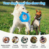 Indestructible Dog Chew Ring Toys for Aggressive Chewers (blue)