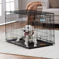 Two-Door Provalue Wire Dog Crate, 36In, for Pets 50-70Lbs