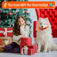 Tough Rooster Squeaky Dog Toy