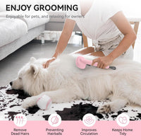 Cat Brushes for Indoor Cats, Cat Hair Brush for Shedding