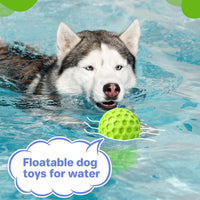 Indestructible Squeaky Dog Ball