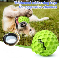 Indestructible Squeaky Dog Ball