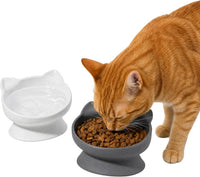 Elevated Cat Bowls (Set of 2), Whisker-Friendly Raised Cat Food & Water Dishes