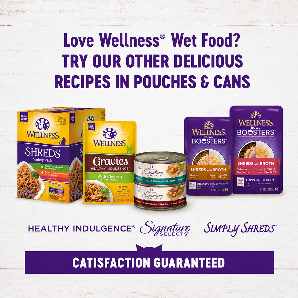 Cat’s Mealtime Pick!
