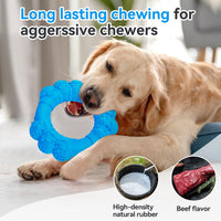 Indestructible Dog Chew Ring Toys for Aggressive Chewers (blue)