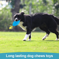 Tough Squeaky Football Dog Toy