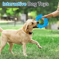 Indestructible Dog Chew Ring Toys for Aggressive Chewers (blue)