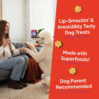 Baked Dog Treats, Low Calorie Treats, Apple & Bacon Flavor, 20Oz