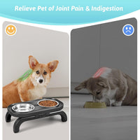 Elevated Dog Bowls, Heighth Adjustable Raised Dog Stands