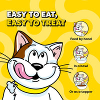 Creamy Puree Lickable Cat Treats, Chicken, 4 Count, 11 Pack