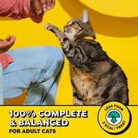 Classic Crunchy and Soft Cat Treats, Tasty Chicken, 6.3Oz, 10Pk