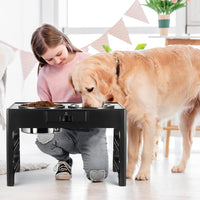 Elevated Dog Bowls, Stainless Steel Raised Dog Deep Bowl with Adjustable Stand