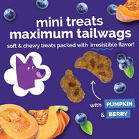Skinny Mini Dog Treats, Training Treats, Pumpkin & Berry, 12Oz