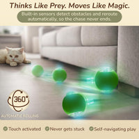 Interactive Cat Toy Automatic Moving Ball, Indoor Cats, Rechargeable, Green
