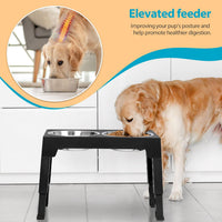 Elevated Dog Bowls with 2 Stainless Steel Dog Food Bowls,