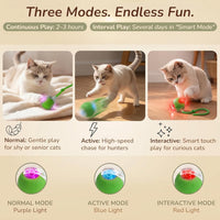 Interactive Cat Toy Automatic Moving Ball, Indoor Cats, Rechargeable, Green