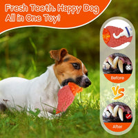 Tough Rooster Squeaky Dog Toy